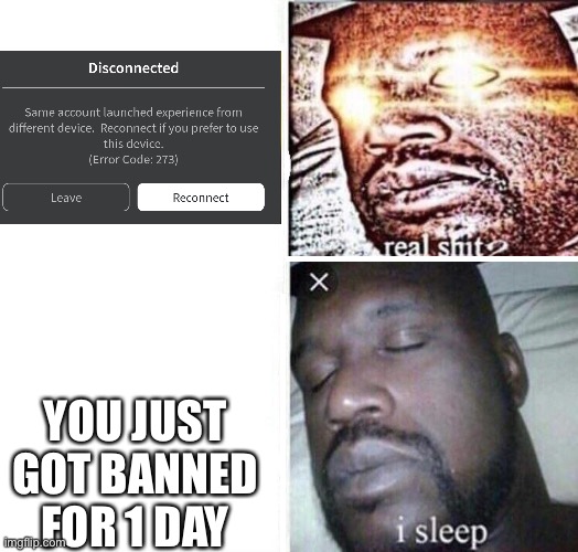 i sleep reverse | YOU JUST GOT BANNED FOR 1 DAY | image tagged in i sleep reverse | made w/ Imgflip meme maker