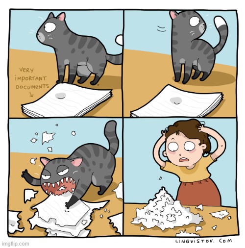 A Cat Lady's Way Of Thinking | image tagged in memes,comics/cartoons,cats,paper,shredder,oh my god | made w/ Imgflip meme maker