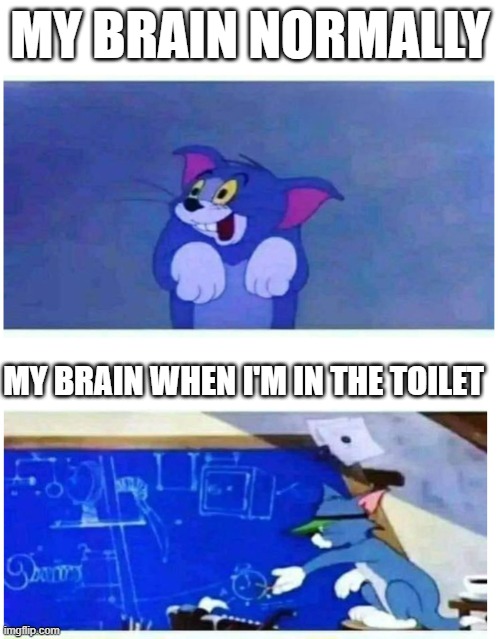 Tom DUmb and Tom Smart | MY BRAIN NORMALLY; MY BRAIN WHEN I'M IN THE TOILET | image tagged in tom dumb and tom smart | made w/ Imgflip meme maker