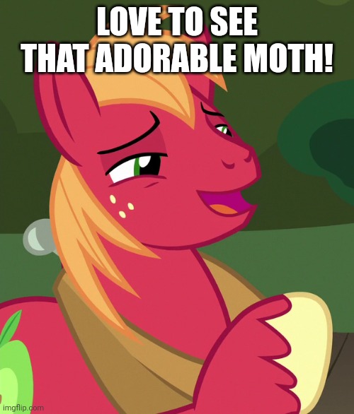 LOVE TO SEE THAT ADORABLE MOTH! | made w/ Imgflip meme maker