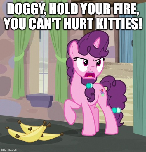 DOGGY, HOLD YOUR FIRE, YOU CAN'T HURT KITTIES! | made w/ Imgflip meme maker
