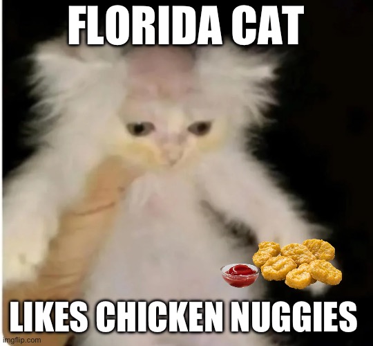 Some proper memes in this area (establishing a proper-) | FLORIDA CAT; LIKES CHICKEN NUGGIES | image tagged in florida man shaves cat head,chicken nuggets | made w/ Imgflip meme maker