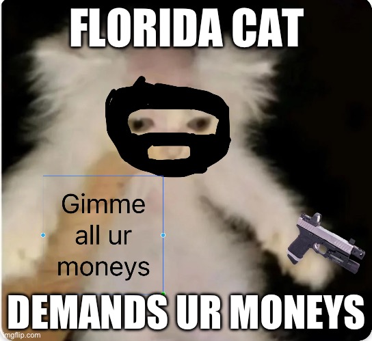 Meant to be submitted in cat stream plz accidentally submitted to fun | FLORIDA CAT; DEMANDS UR MONEYS | image tagged in money,not,monkeys | made w/ Imgflip meme maker