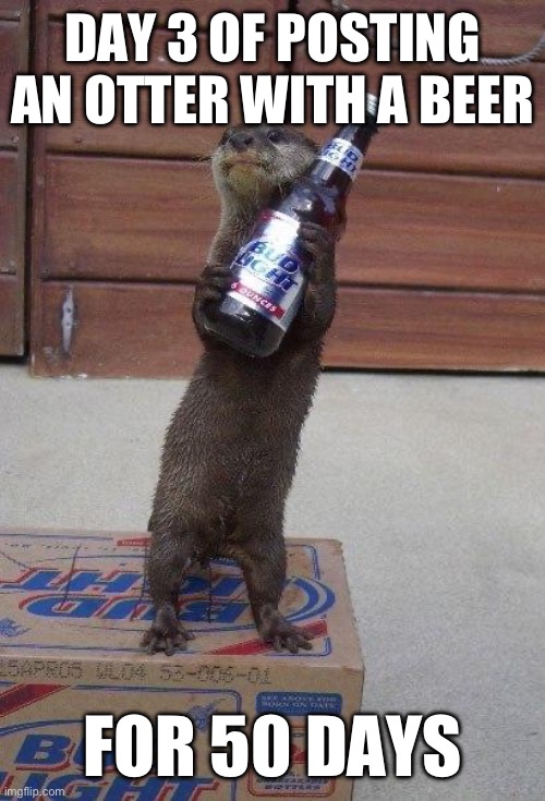 Day three of posting an otter with a beer for 50 days | DAY 3 OF POSTING AN OTTER WITH A BEER; FOR 50 DAYS | image tagged in beer otter,otters,funny,funny memes,animals | made w/ Imgflip meme maker