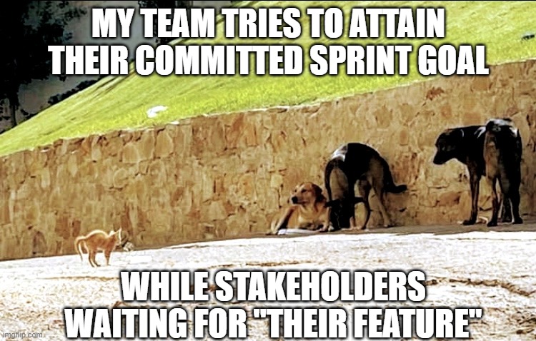Brave Cat | MY TEAM TRIES TO ATTAIN THEIR COMMITTED SPRINT GOAL; WHILE STAKEHOLDERS WAITING FOR "THEIR FEATURE" | image tagged in brave cat | made w/ Imgflip meme maker