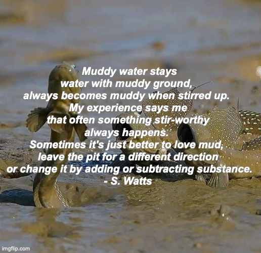 Muddy Waters | Muddy water stays water with muddy ground, 
always becomes muddy when stirred up. 
My experience says me that often something stir-worthy always happens. 
Sometimes it's just better to love mud, 
leave the pit for a different direction
 or change it by adding or subtracting substance.
- S. Watts | image tagged in manfishing,muddy water,muddy | made w/ Imgflip meme maker