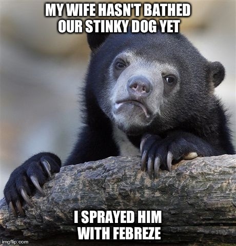 Confession Bear Meme | MY WIFE HASN'T BATHED OUR STINKY DOG YET I SPRAYED HIM WITH FEBREZE | image tagged in memes,confession bear | made w/ Imgflip meme maker