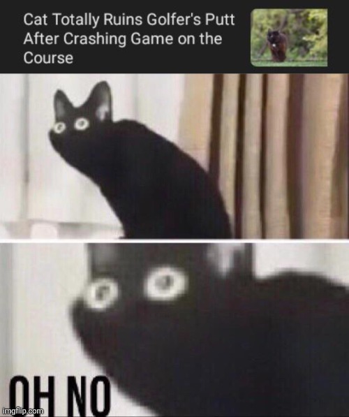 Game crashed | image tagged in oh no cat,cats,cat,golf,game,memes | made w/ Imgflip meme maker