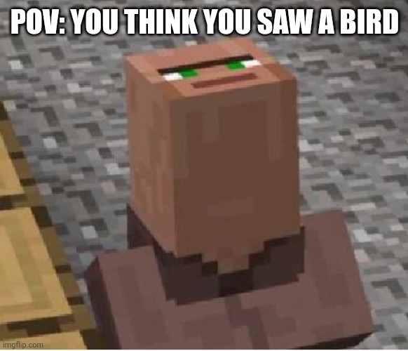 Birds | POV: YOU THINK YOU SAW A BIRD | image tagged in minecraft villager looking up | made w/ Imgflip meme maker