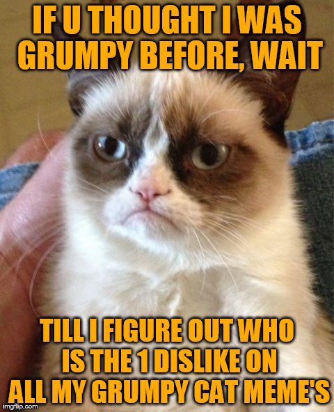Grumpy Cat | IF U THOUGHT I WAS GRUMPY BEFORE, WAIT TILL I FIGURE OUT WHO IS THE 1 DISLIKE ON ALL MY GRUMPY CAT MEME'S | image tagged in memes,grumpy cat | made w/ Imgflip meme maker