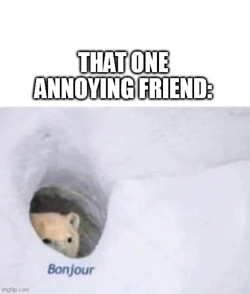 Bonjour | THAT ONE ANNOYING FRIEND: | image tagged in bonjour | made w/ Imgflip meme maker