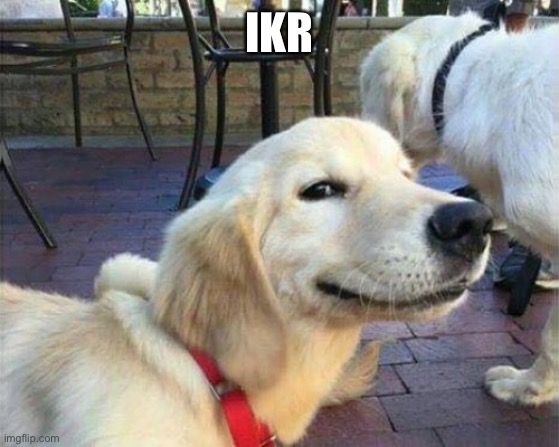 Ikr | IKR | image tagged in dog smiling | made w/ Imgflip meme maker