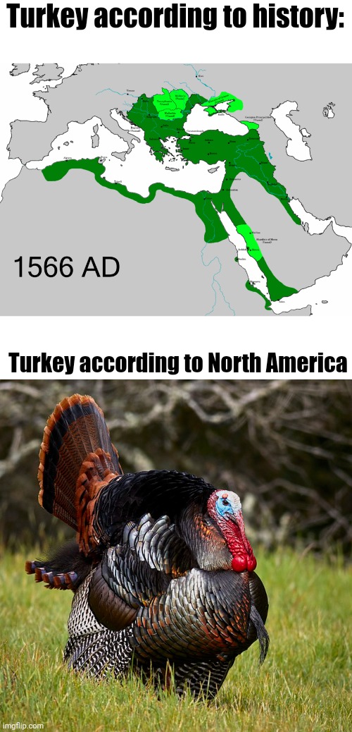 So which one is better??? The North American type does taste good though | Turkey according to history:; Turkey according to North America | image tagged in memes | made w/ Imgflip meme maker
