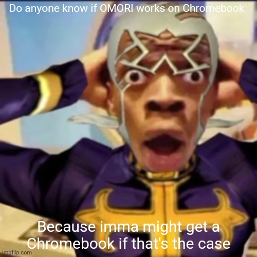 A personal one, not the ones my school hands out | Do anyone know if OMORI works on Chromebook; Because imma might get a Chromebook if that's the case | image tagged in pucci in shock | made w/ Imgflip meme maker