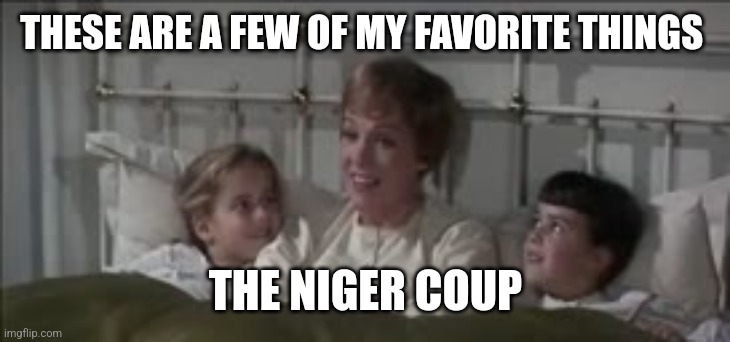 THESE ARE A FEW OF MY FAVORITE THINGS; THE NIGER COUP | image tagged in funny memes | made w/ Imgflip meme maker