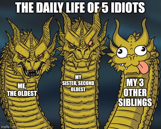 Three-headed Dragon | THE DAILY LIFE OF 5 IDIOTS; MY SISTER, SECOND OLDEST; MY 3 OTHER SIBLINGS; ME, THE OLDEST | image tagged in three-headed dragon | made w/ Imgflip meme maker