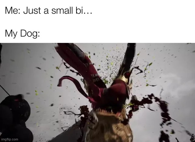 image tagged in memes | made w/ Imgflip meme maker