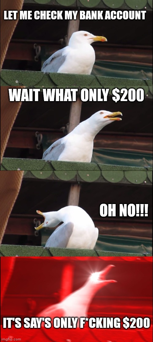 Seagull upset cause it's only $200 | LET ME CHECK MY BANK ACCOUNT; WAIT WHAT ONLY $200; OH NO!!! IT'S SAY'S ONLY F*CKING $200 | image tagged in seagull upset,only 200 dollars,inhaling seagull,funny memes,memes | made w/ Imgflip meme maker