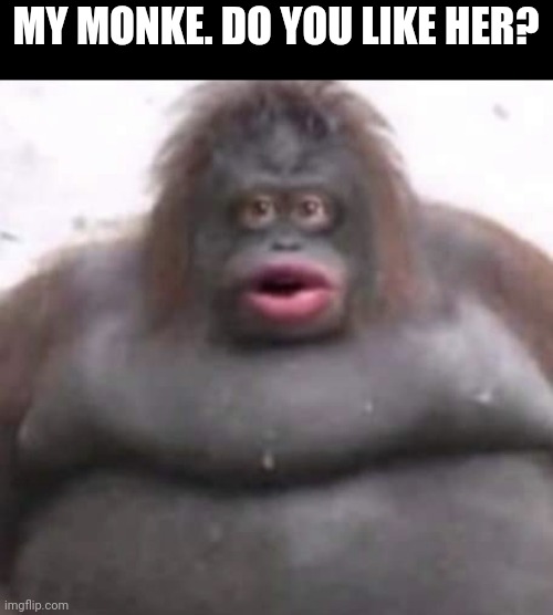 Frfr ong? | MY MONKE. DO YOU LIKE HER? | image tagged in le monke,memes | made w/ Imgflip meme maker