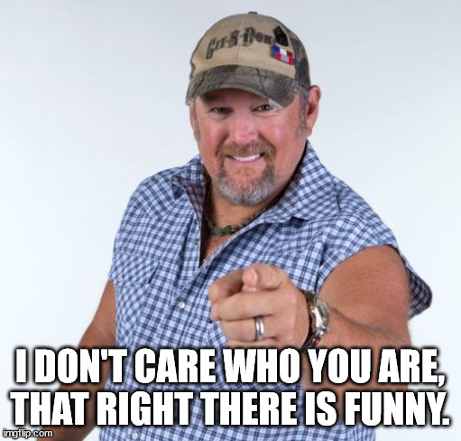 Larry the Cable Guy | I DON'T CARE WHO YOU ARE, THAT RIGHT THERE IS FUNNY. | image tagged in larry the cable guy | made w/ Imgflip meme maker