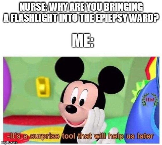 We do a litte trolling | NURSE: WHY ARE YOU BRINGING A FLASHLIGHT INTO THE EPIEPSY WARD? ME: | image tagged in it's a surprise tool that will help us later,dark humor,cursed,meme,funny,fun | made w/ Imgflip meme maker