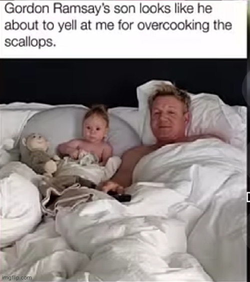 like father like son | image tagged in chef gordon ramsay,so true,babies,funny,cooking,celebrity | made w/ Imgflip meme maker