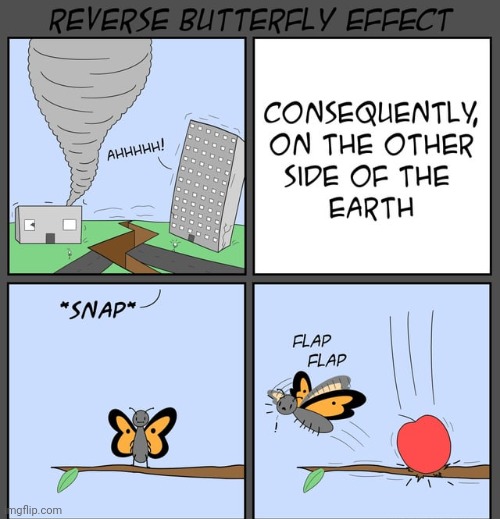 Reverse butterfly effect | image tagged in butterfly,reverse,tornado,butterflies,comics,comics/cartoons | made w/ Imgflip meme maker