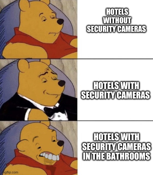 Whinnie The Poo (Normal, Fancy, Gross) | HOTELS WITHOUT SECURITY CAMERAS; HOTELS WITH SECURITY CAMERAS; HOTELS WITH SECURITY CAMERAS IN THE BATHROOMS | image tagged in whinnie the poo normal fancy gross | made w/ Imgflip meme maker