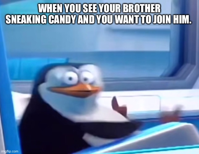 Get me in on that | WHEN YOU SEE YOUR BROTHER SNEAKING CANDY AND YOU WANT TO JOIN HIM. | image tagged in uh oh,nice,funny,funny memes,penguin | made w/ Imgflip meme maker