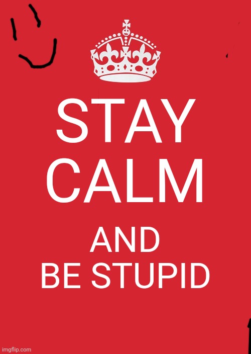 Keep Calm And Carry On Red | STAY CALM; AND BE STUPID | image tagged in memes,keep calm and carry on red | made w/ Imgflip meme maker