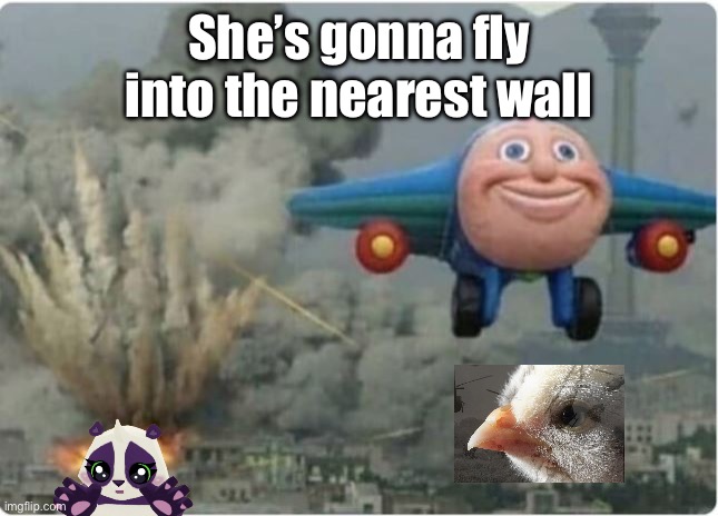 Flying Away From Chaos | She’s gonna fly into the nearest wall | image tagged in flying away from chaos | made w/ Imgflip meme maker