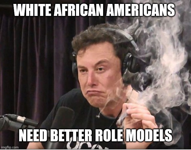 Elon Musk smoking a joint | WHITE AFRICAN AMERICANS; NEED BETTER ROLE MODELS | image tagged in elon musk smoking a joint | made w/ Imgflip meme maker