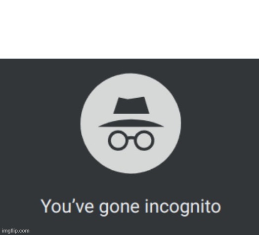 You've gone incognito | image tagged in you've gone incognito | made w/ Imgflip meme maker
