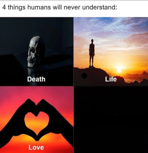 4 things humans will never understand Blank Meme Template