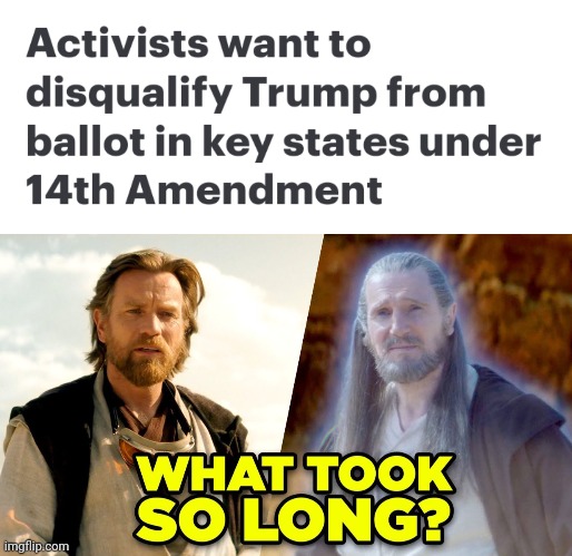 Should democracy be allowed to commit suicide? | image tagged in time to take the gun from the baby,14th amendment | made w/ Imgflip meme maker