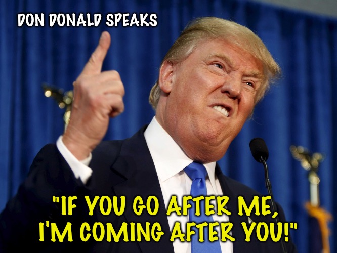 They don't call him The Donald any more.  Now he's The Don.  As in Mafia. | DON DONALD SPEAKS; "IF YOU GO AFTER ME, 
I'M COMING AFTER YOU!" | image tagged in donald trump meme | made w/ Imgflip meme maker