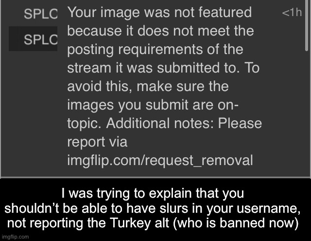 This was in imgflip stream | I was trying to explain that you shouldn’t be able to have slurs in your username, not reporting the Turkey alt (who is banned now) | made w/ Imgflip meme maker
