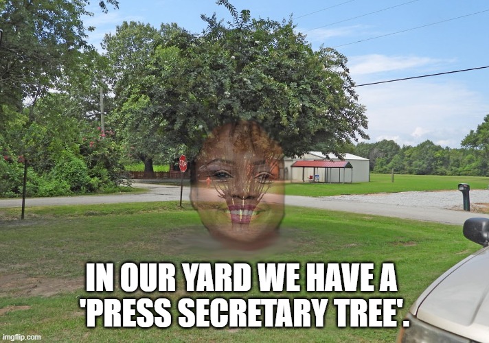 press secretary | IN OUR YARD WE HAVE A 
'PRESS SECRETARY TREE'. | image tagged in tree | made w/ Imgflip meme maker