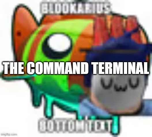 An rp where you can do a lot of stuff.mp3 | THE COMMAND TERMINAL | image tagged in blookarius | made w/ Imgflip meme maker