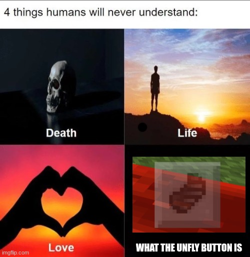 If anyone knows what this is, please let me know | WHAT THE UNFLY BUTTON IS | image tagged in 4 things humans will never understand,minecraft,memes | made w/ Imgflip meme maker