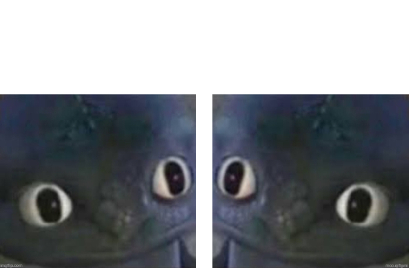 two dragons stare Blank Meme Template