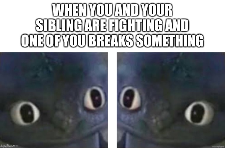 “quick, hide it!” “act normal!” | WHEN YOU AND YOUR SIBLING ARE FIGHTING AND ONE OF YOU BREAKS SOMETHING | image tagged in two dragons stare,oh no,siblings | made w/ Imgflip meme maker