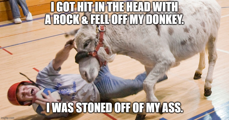 meme by Brad fell off of my ass | I GOT HIT IN THE HEAD WITH A ROCK & FELL OFF MY DONKEY. I WAS STONED OFF OF MY ASS. | image tagged in funny animals | made w/ Imgflip meme maker