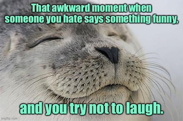 Awkward moment | That awkward moment when someone you hate says something funny, and you try not to laugh. | image tagged in memes,satisfied seal,so one you hate,says funny thing,try not to laugh | made w/ Imgflip meme maker