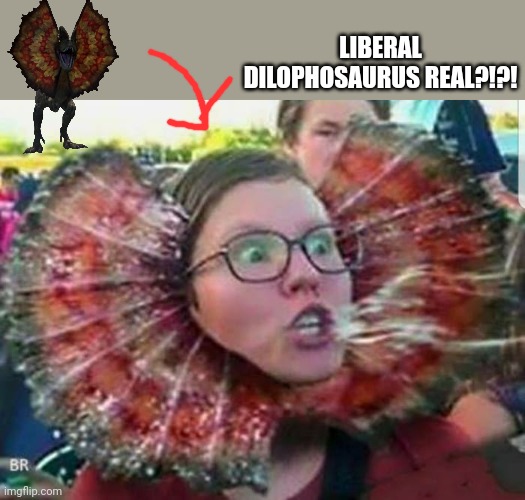 You can stop complaining, all the Jurassic Park dinosaurs are female | LIBERAL DILOPHOSAURUS REAL?!?! | image tagged in triggered sjw dragon,triggered liberal,triggered feminist,dilophosaurus,jurassic park | made w/ Imgflip meme maker