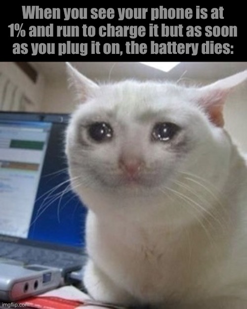 Crying cat | When you see your phone is at 1% and run to charge it but as soon as you plug it on, the battery dies: | image tagged in crying cat | made w/ Imgflip meme maker