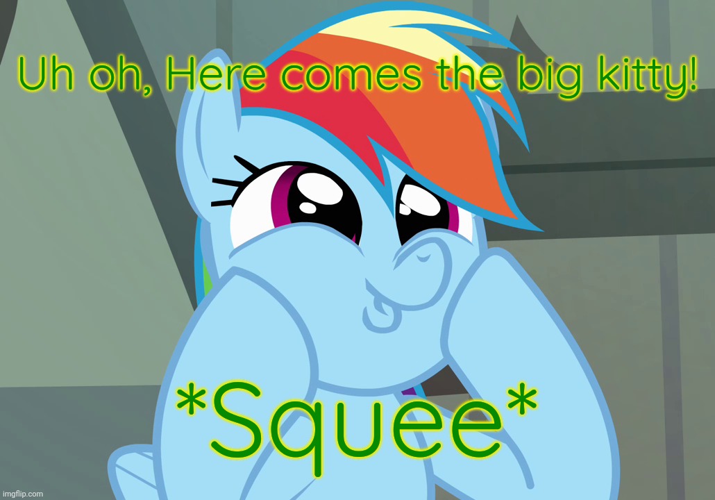 Dashface (MLP) | Uh oh, Here comes the big kitty! *Squee* | image tagged in dashface mlp | made w/ Imgflip meme maker
