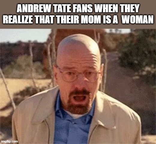 Tate fans are all one big meat riding cult | ANDREW TATE FANS WHEN THEY REALIZE THAT THEIR MOM IS A  WOMAN | image tagged in walter white | made w/ Imgflip meme maker