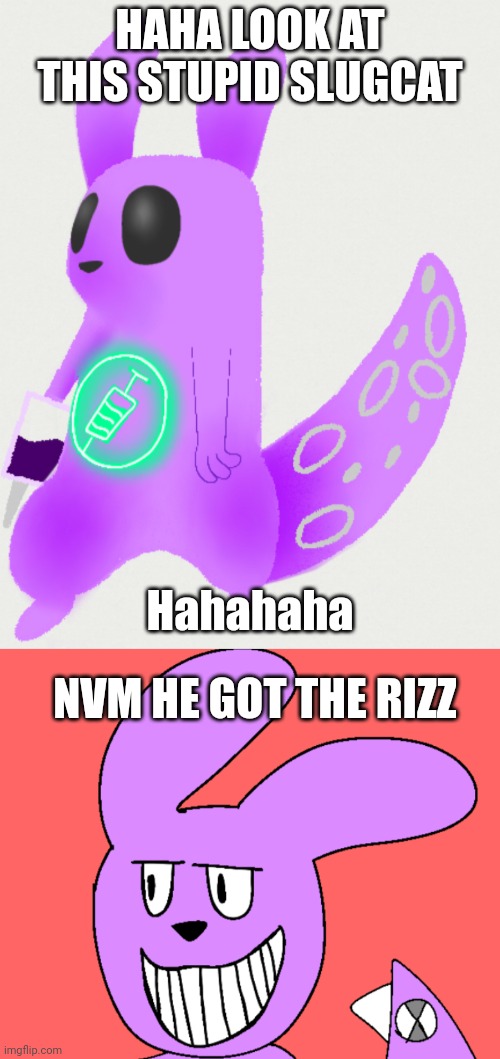 Unfunny frickpost | HAHA LOOK AT THIS STUPID SLUGCAT; Hahahaha; NVM HE GOT THE RIZZ | made w/ Imgflip meme maker