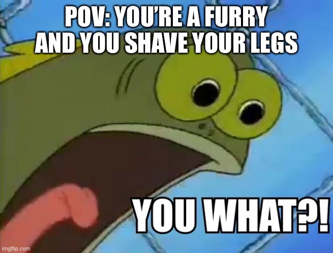 And we back Bois! | POV: YOU’RE A FURRY AND YOU SHAVE YOUR LEGS | image tagged in you what | made w/ Imgflip meme maker